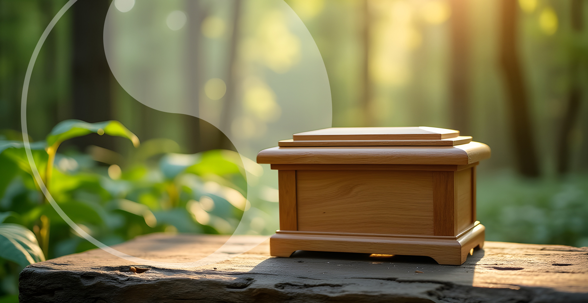 Cremation Urn in a forest