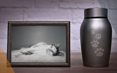 Expand Your Business with Pet Cremation Services from FT